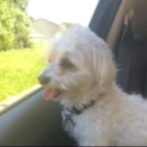 Meet your Posher, Connor